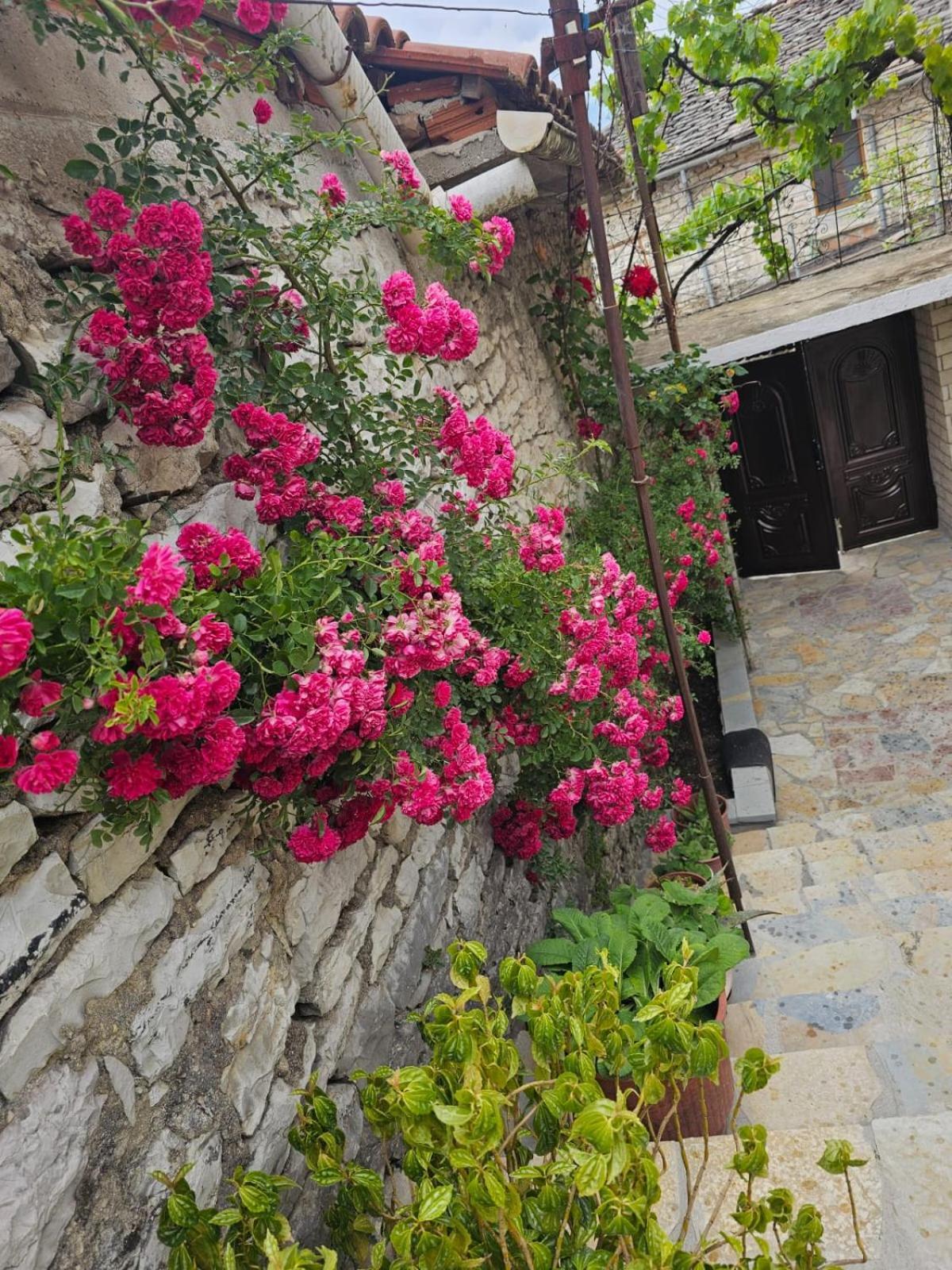 Luigi Guest House Gjirokastra Kültér fotó
