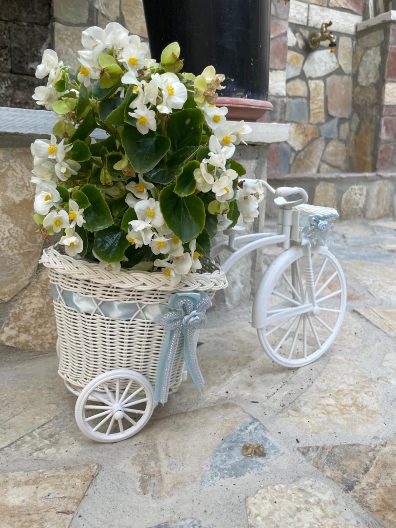 Luigi Guest House Gjirokastra Kültér fotó