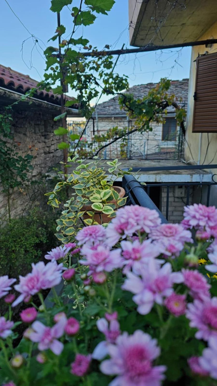 Luigi Guest House Gjirokastra Kültér fotó